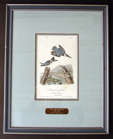 Appraisal: Print titled Belted Kingfisher No Plate Drawn from nature by