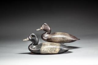 Appraisal: Bluebill Pair by John McLoughlin Bluebill PairJohn McLoughlin - Bordentown