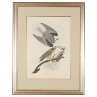 Appraisal: After John James Audubon Havell edition print After John James