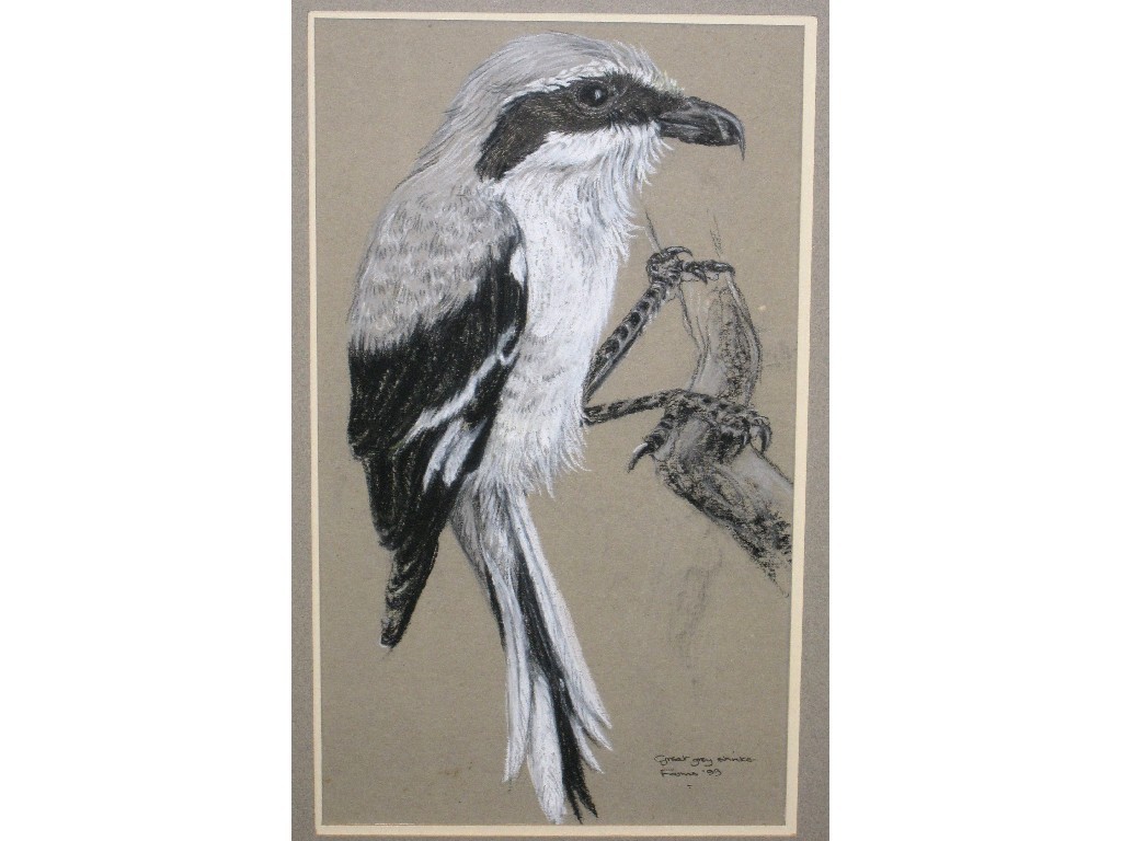 Appraisal: Two pastels 'Great Grey Shrike' and 'Puffin' both signed and