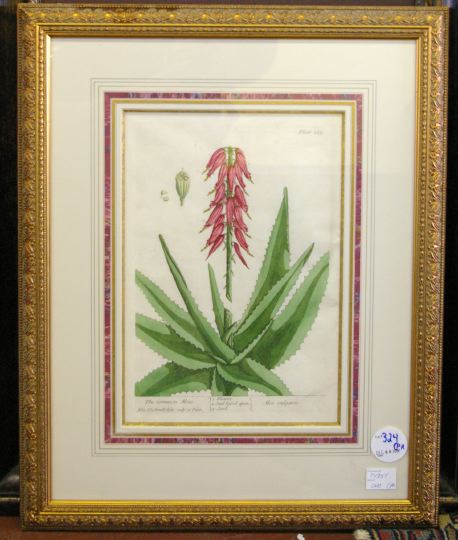 Appraisal: Elizabeth Blackwell British - The Common Aloes and The Succontine