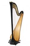 Appraisal: HARP - Lyon Healy black lacquered case with brass crow