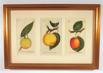 Appraisal: Twelve hand-colored copper engravings of fruitjohann volkmar sickler -