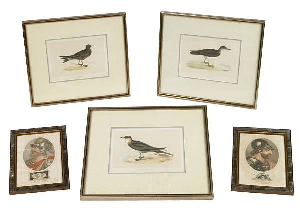 Appraisal: A group of six colored reproductions of gulls together with