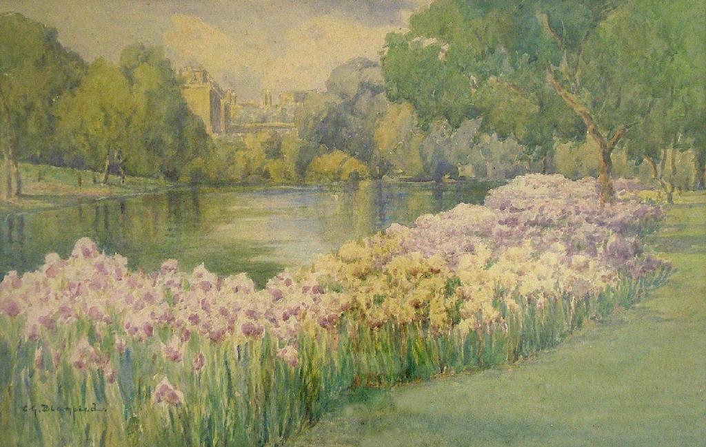 Appraisal: By Clifford George Blampied - - 'Irises St James Park'