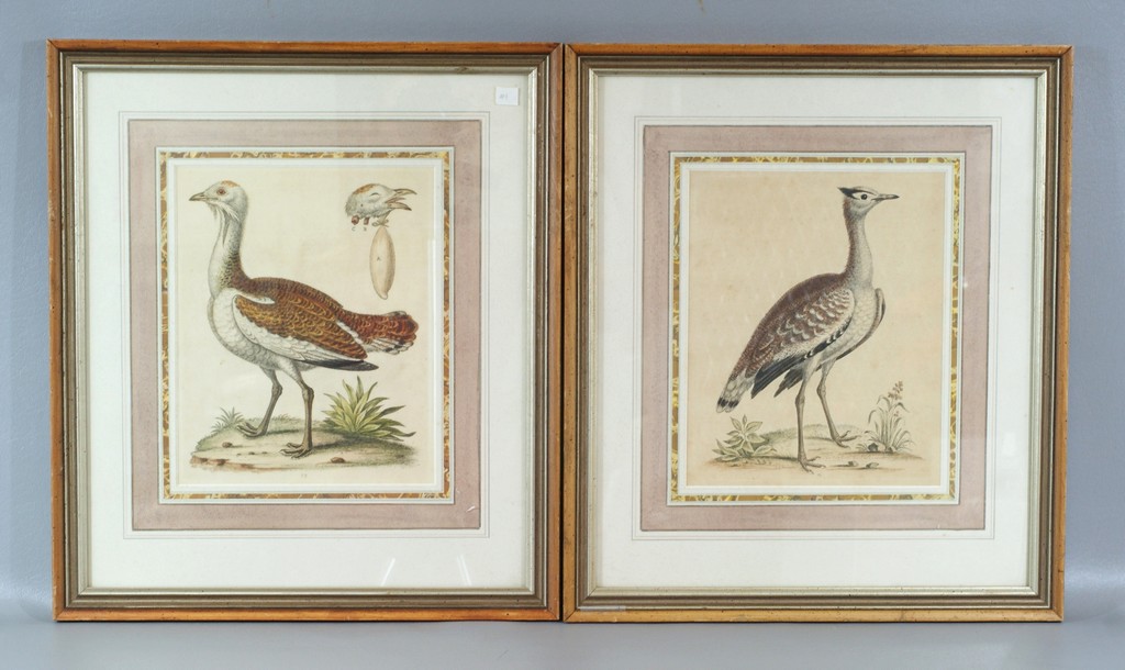 Appraisal: Edwards George Bustard and one other hand colored engravings circa