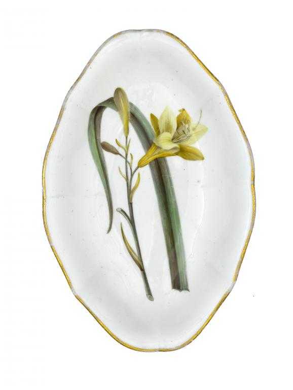 Appraisal: A RARE PINXTON BOTANICAL DISH painted with a specimen of