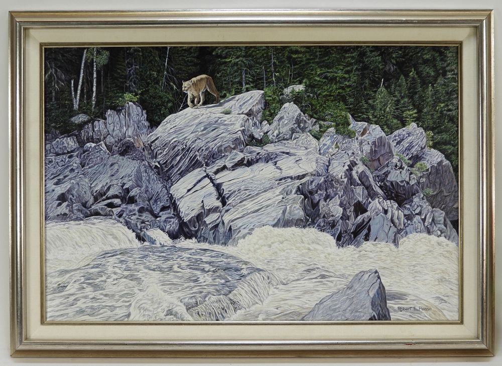 Appraisal: Robert E Pease Naturalist Mountain Lion Painting United States -