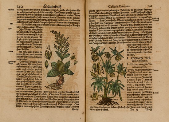 Appraisal: BOTANICAL Durante Castore Hortulus Sanitatis das ist Ein heylsam und