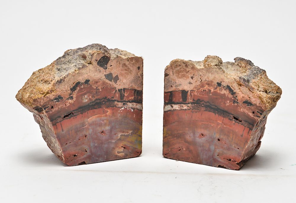 Appraisal: Petrified Wood Polished Bookends Pair Petrified wood fossilized mineral quartz