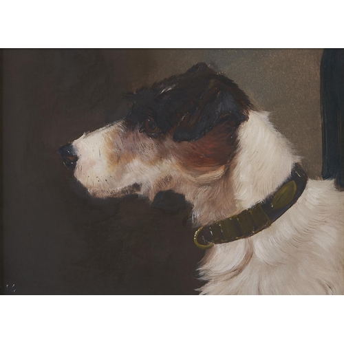 Appraisal: English School early th century - Portraits of Terriers a