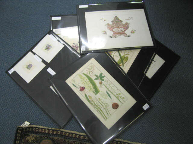 Appraisal: Lot of Engravings Prints mostly botanical