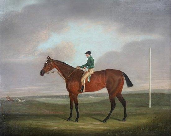 Appraisal: Clifton Tomson Pewett a bay hunter with jockey up on