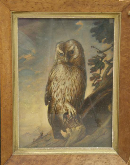 Appraisal: R H Alston th century 'Brown Owl' signed and dated