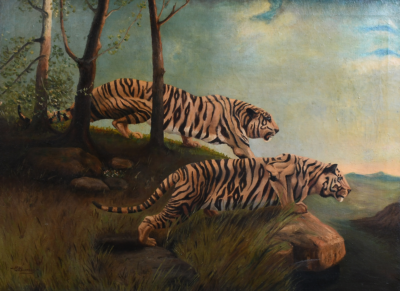 Appraisal: BARNARD Clarence American th Century Tigers Stalking Oil Canvas ''