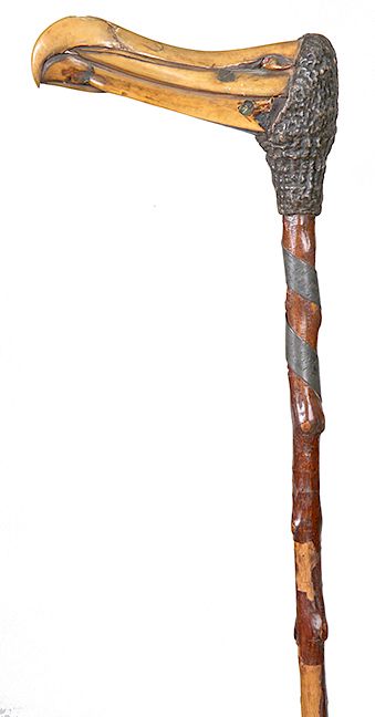 Appraisal: Albatross Beak Nautical Cane- Mid th Century- An L handle