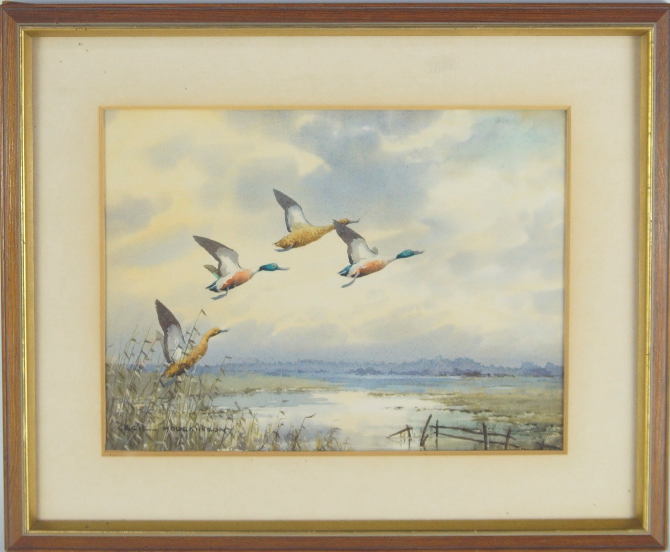 Appraisal: Cecil Thomas Hodgkinson - Shovellers in flight watercolour signed verso