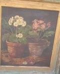 Appraisal: th Century English School Primula in Terracotta Pots indistinctly signed