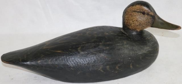 Appraisal: EARLY A E CROWELL BLACK DUCK SLIGHTLY TURNEDHEAD CIRCA -