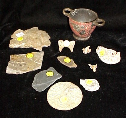 Appraisal: Artifacts and fossils including double handled terracotta vase painted black