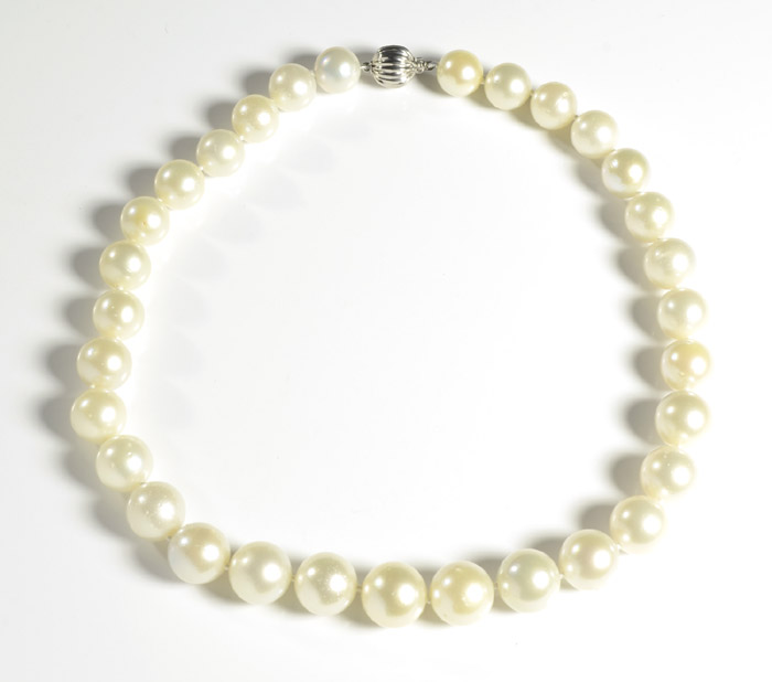 Appraisal: PRINCESS LENGTH SOUTH SEA PEARL NECKLACE measuring - inches in