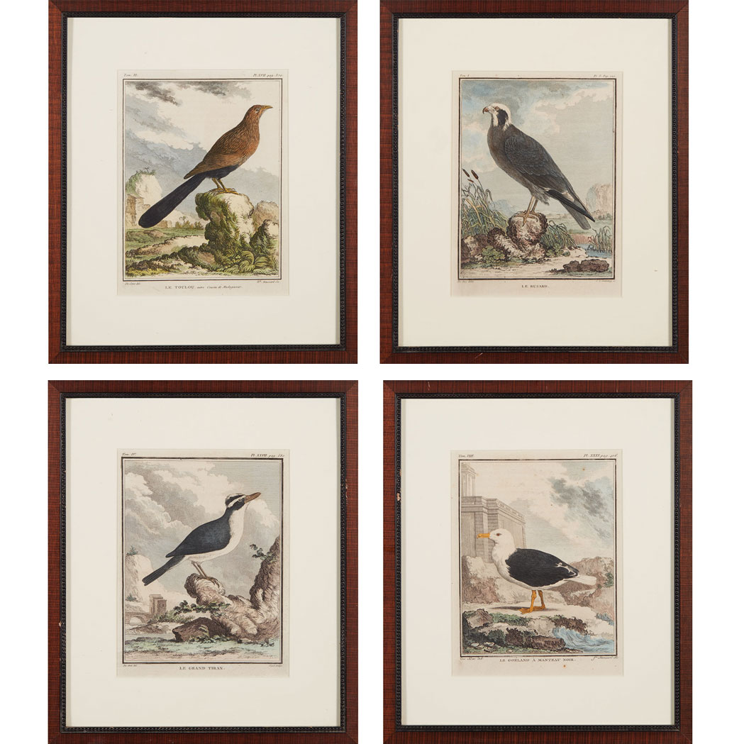 Appraisal: After Jacques de Seve BIRD STUDIES Ten hand-colored engravings from