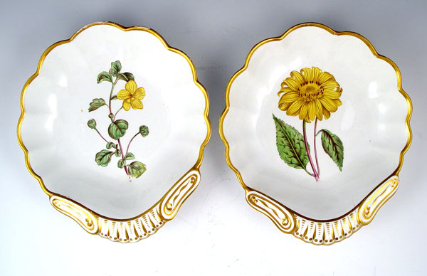 Appraisal: TWO TH SPODE BOTANICAL SHELL FORM DISHES Hand painted Bitten-