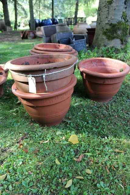 Appraisal: A GROUP OF SEVEN VARIOUS TERRACOTTA PLANT POTS