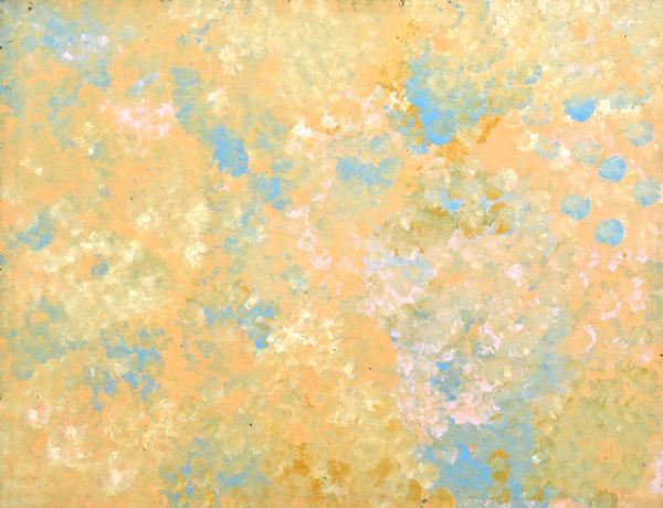 Appraisal: EMILY KAME KNGWARREYE CIRCA - Bush Plum Dreaming acrylic on