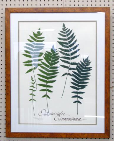 Appraisal: Pair of limited edition botanical framed prints by Madeline and