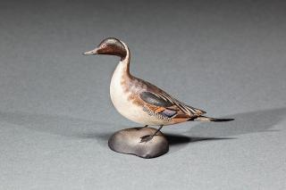 Appraisal: Miniature Pintail Drake A Elmer Crowell - East Harwich MA