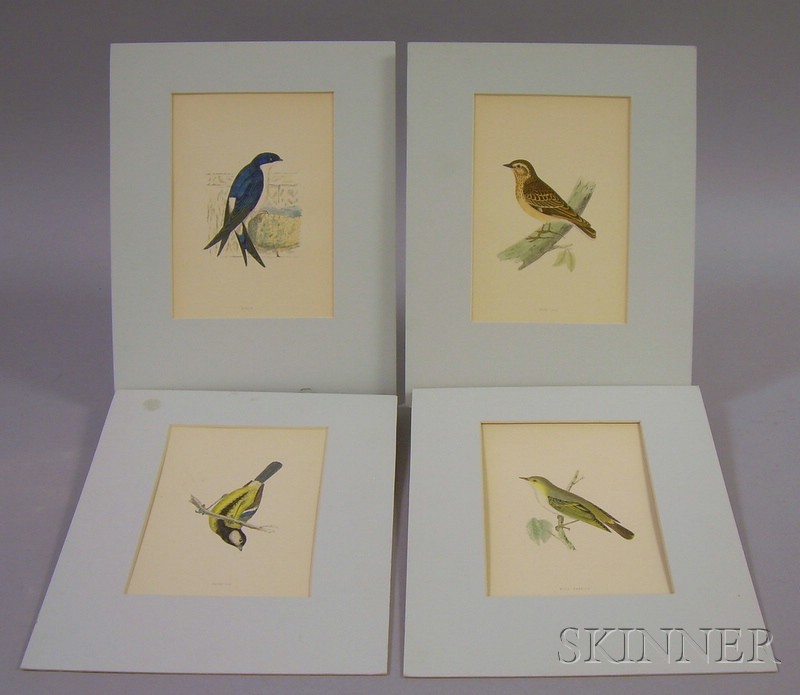 Appraisal: Set of Four British Hand-colored Bird Prints George Bell and