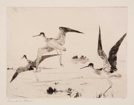 Appraisal: FRANK W BENSON Three etchings with drypoint Three Yellowlegs Summer