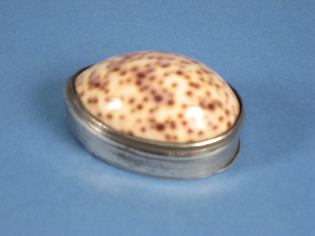 Appraisal: A small plated mounted cowrie shell Snuff Box