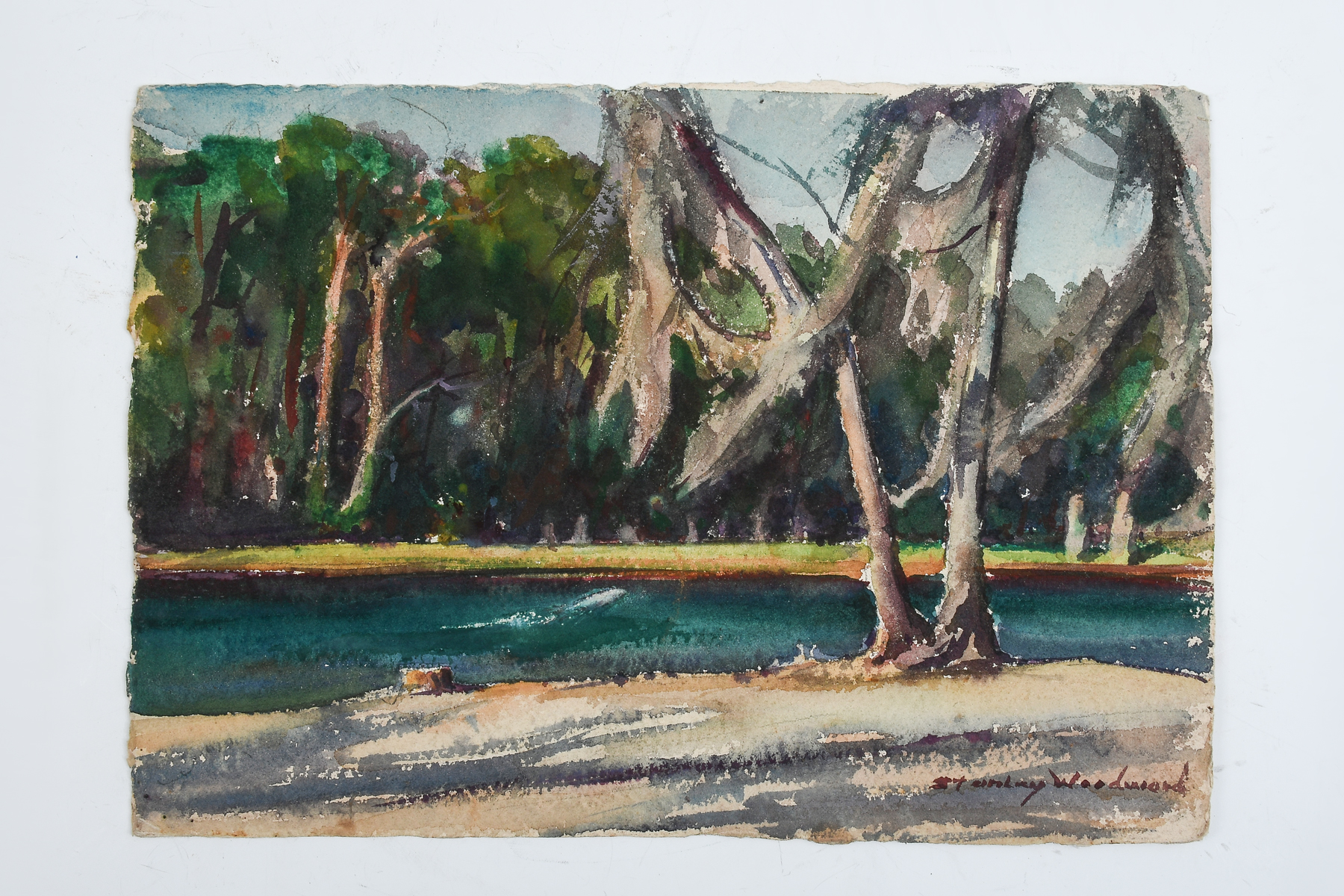 Appraisal: WOODWARD Stanley Wingate - U S ''Myakka River'' Watercolor ''