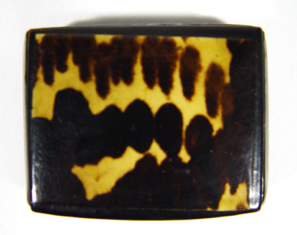 Appraisal: Ebonised wooden snuff box with simulated tortoiseshell lid cm in