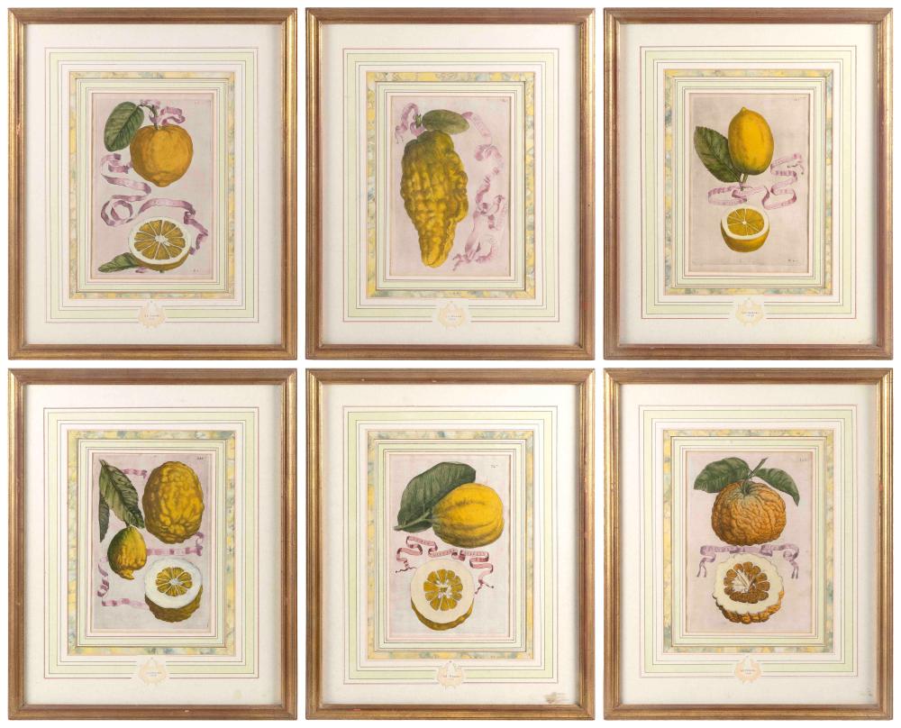 Appraisal: G B FERRARI FRANCE - SIX HAND-COLORED ENGRAVINGS OF FRUIT