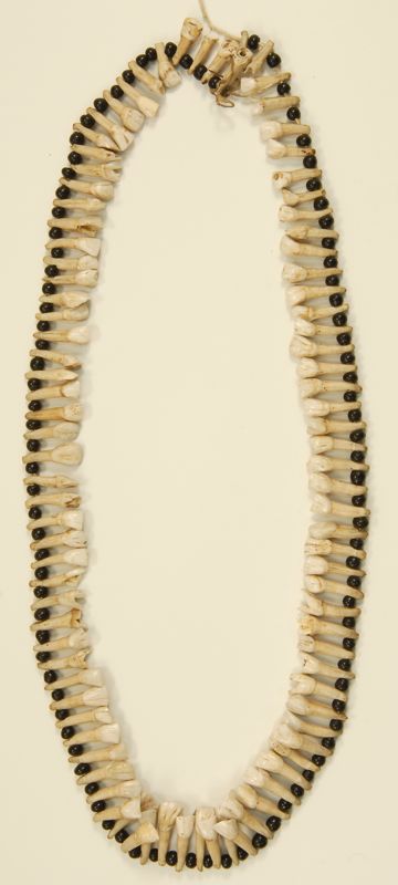 Appraisal: RARE NORTH AMERICAN BEAD AND ELK TOOTH NECKLACE th CenturyApproximate