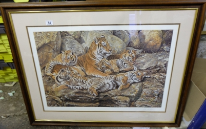 Appraisal: A signed print of a Family of Tigers by Alan