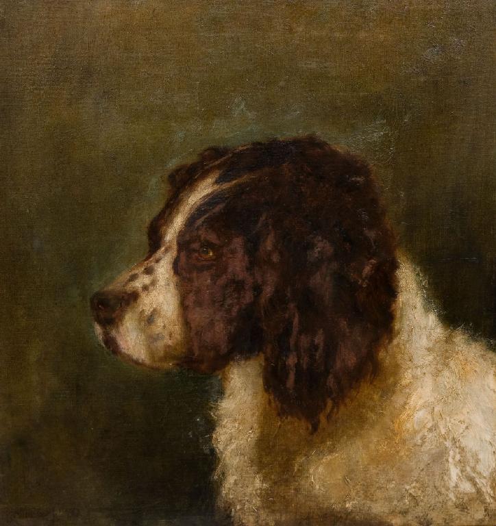 Appraisal: R JAMESON th CENTURY PROFILE STUDY OF A SPRINGER SPANIEL