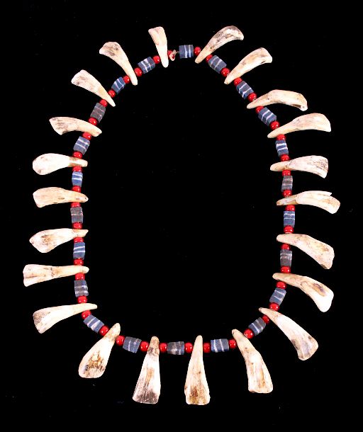 Appraisal: Plains Indian Trade Bead Buffalo Tooth Necklace For bidding in