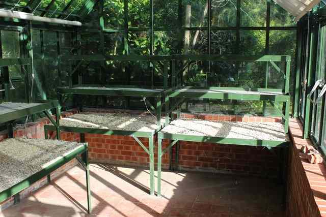 Appraisal: A SET OF SIX THREE TIER GREEN PAINTED GREENHOUSE SHELVING