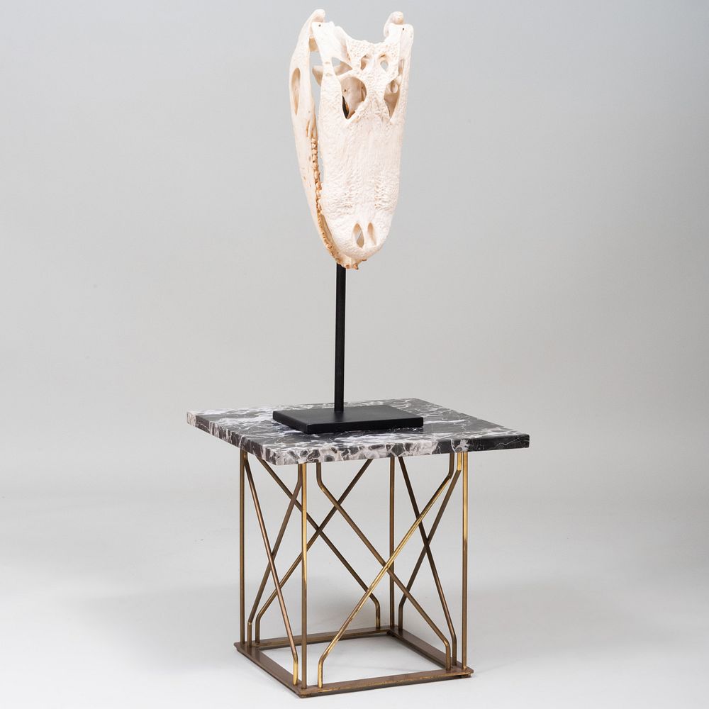 Appraisal: Crocodile Skull Trophy and Marble Gilt-Metal Marble Top Table The