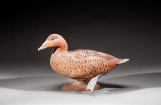 Appraisal: Decorative Eider Hen by Roger C Mitchell b Decorative Eider