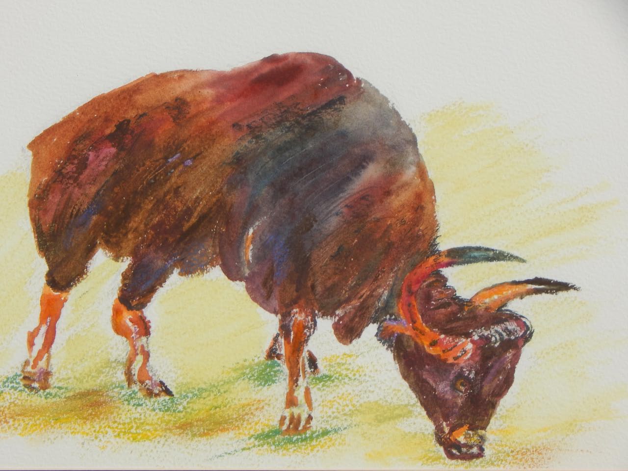 Appraisal: Vivienne Abberley thC Gaur endangered species watercolour titled verso cm