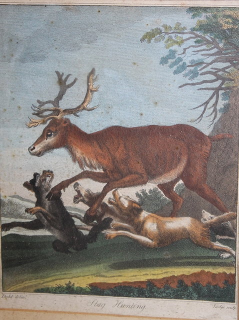 Appraisal: A collection of th Century and later stag hunting prints