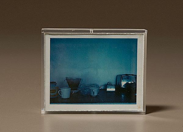 Appraisal: JAMES WELLING AMERICAN B Polaroid housed in case signed on