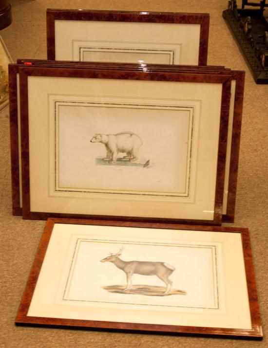 Appraisal: Eight framed zoological lithographs Estimate - All property is sold