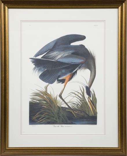 Appraisal: After John James Audubon American - Great Blue Heron limited