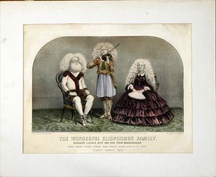 Appraisal: Currier and Ives - The Wonderul Elophobus Family Hand-colored lithograph